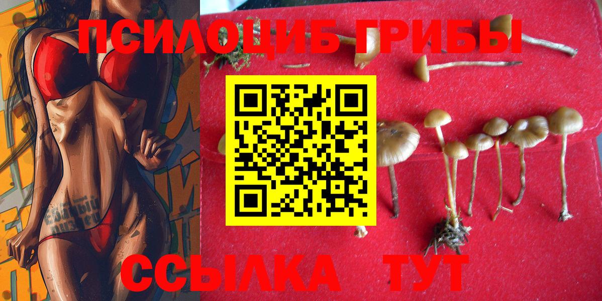 Галлюциногенные грибы MAGIC MUSHROOMS  Галлюциногенные грибы Psilocybe  Вход с VPN  Павловский Посад 